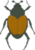 Green And Brown Beetle Clip Art